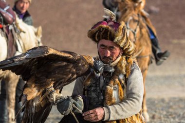 Sagsay, Moğolistan - 28 Eylül 2017: Altın Kartal avcı ise bir Altın Kartallar kollarını içinde çöl Dağ Batı Moğolistan üzerinde tutarak tavşan için avcılık.