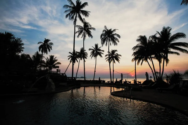 Incredibile Crepuscolo Sulla Spiaggia Mare Subtropici Con Silhouette Palma — Foto Stock
