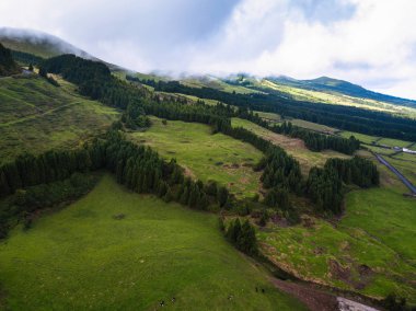 San Miguel Island, Azores, Portekiz yeşil alanların havadan görünümü. 