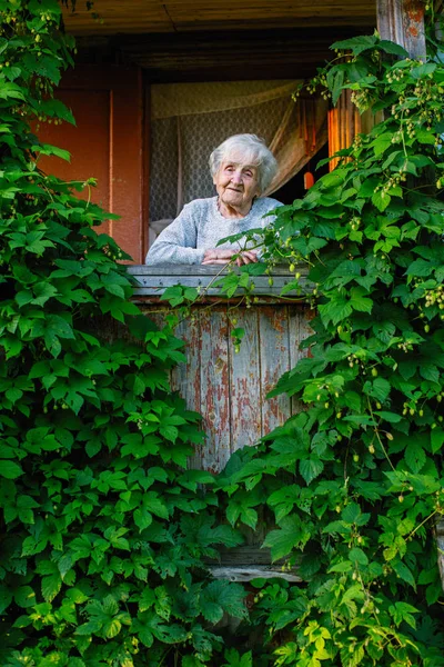 Ηλικιωμένη Γυναίκα Στην Καταπράσινη Βεράντα Στο Αγροτικό Σπίτι Του — Φωτογραφία Αρχείου