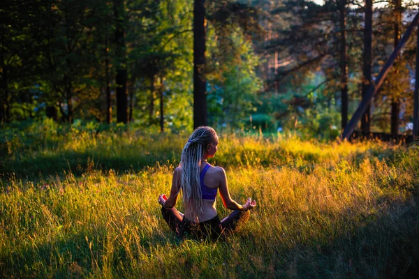 Yoga Kvinna Pittoresk Glade Grön Skog — Stockfoto
