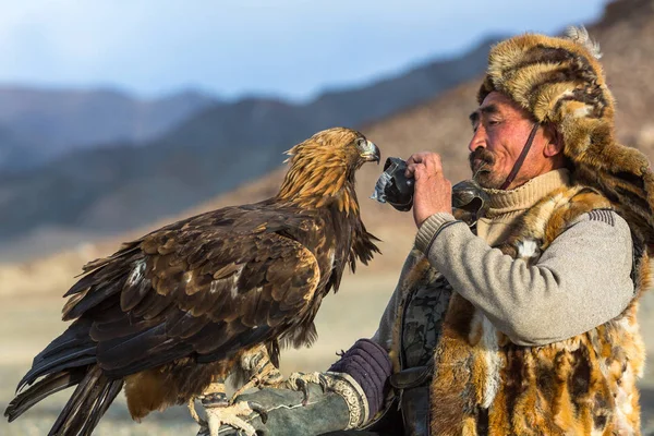 Sagsay Mongolia Sep 2017 Golden Eagle Hunter Timp Vâna Iepurele — Fotografie, imagine de stoc