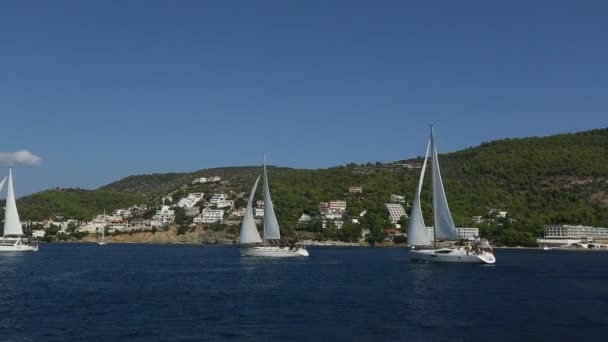 Poros Grecia Oct 2018 Veleros Participan Regata Vela Ellada Otoño — Vídeos de Stock