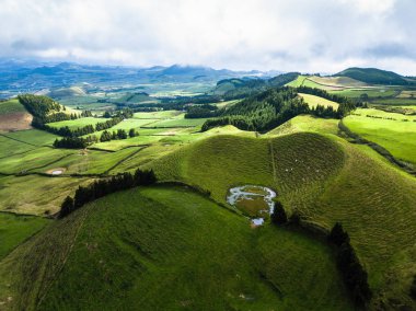 Yeşil alanları, San Miguel Adası, Azores, Portekiz. 