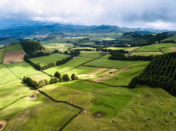 Vista Dos Campos Verdes Ilha San Miguel Açores Portugal — Fotografia de Stock