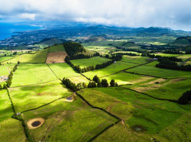 Yeşil alanları, San Miguel Adası, Azores, Portekiz. 