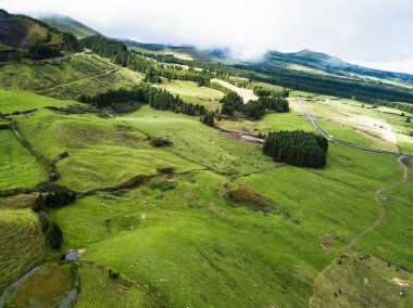 San Miguel Island, Azores, Portekiz yeşil alanların görünümünü. 