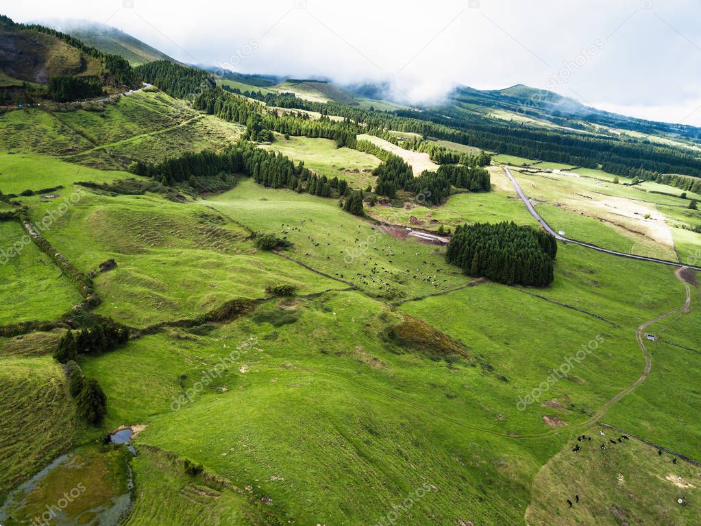 View of green fields of San Miguel island, Azores, Portugal. 