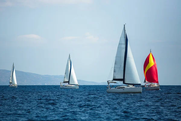 Sailing Luxury Boats Participate Yachting Regatta — Stock Photo, Image