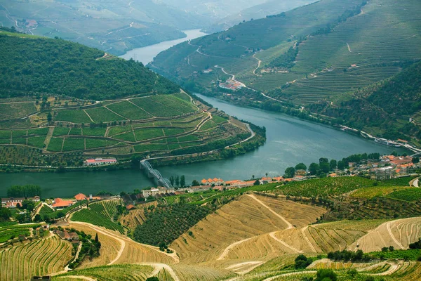 Ovanifrån Floden Och Vingårdarna Hills Douro Valley Portugal — Stockfoto
