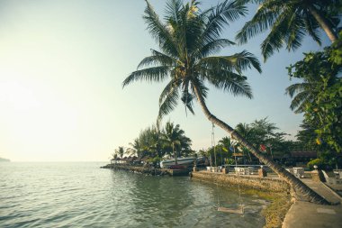 Güzel deniz plaj tropikal.