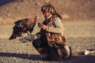 Sagsay, Moğolistan - 28 Eylül 2017: Berkutchi (kazak kartal Hunter) ise bir altın kartallar ile tavşan Bayan-Olgii Aymağı dağlarında kolları üzerinde avcılık. 