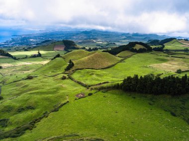Yeşil alanları, San Miguel Adası, Azor - Portekiz. 