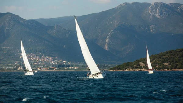 Regata Yacht Vela Mare Vacanza Lusso — Foto Stock