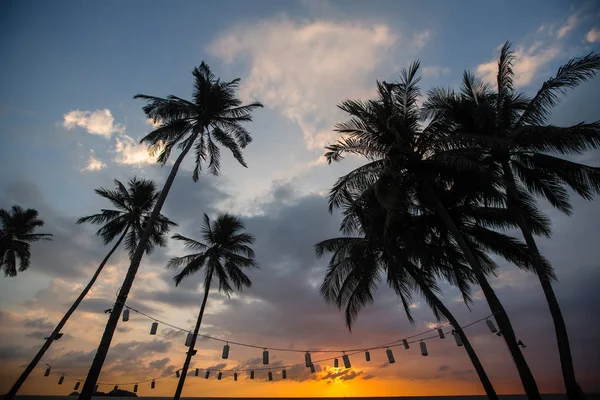 Тропические Пальмы Силуэт Против Сумерки Голубое Небо — стоковое фото
