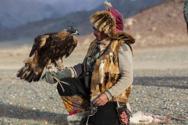Sagsay Mongolia Sep 2017 Berkutchi Cazador Águila Kazaja Mientras Caza — Foto de Stock