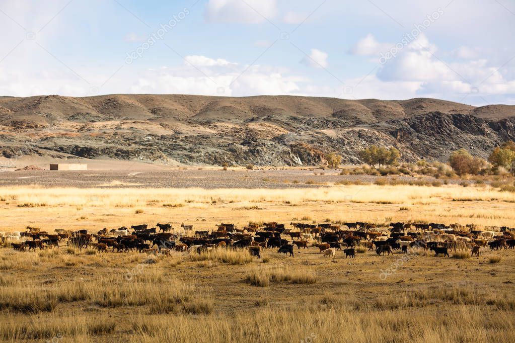 Views of the mountains of Western Mongolia.