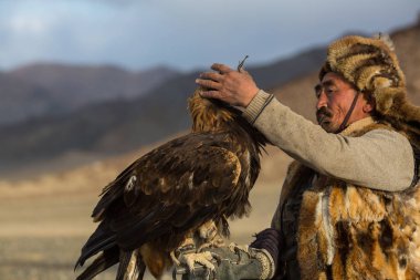 Sagsay, Moğolistan - 28 Eylül 2017: Berkutchi (kazak kartal Hunter) ise bir altın kartallar ile tavşan Bayan-Olgii Aymağı dağlarında kolları üzerinde avcılık. 