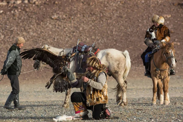 Sagsay Mongolia Września 2017 Berkutchi Kazachski Hunter Złotego Orła Podczas — Zdjęcie stockowe