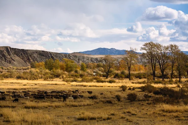Krajobraz Mongolskiego Stepu Podgórzu — Zdjęcie stockowe