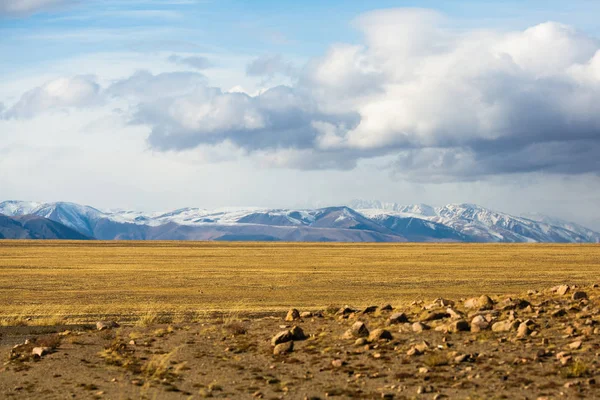 Krajina Mongolské Stepi Podhůří — Stock fotografie