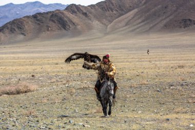 Sagsay, Moğolistan - Eyl 30, 2017: Berkutchi - kazak avcı ise avcılık hare içinde çöl Dağ Batı Moğolistan için altın kartal ile.