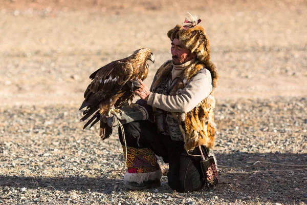 蒙古萨格 2017年9月28日 伯库奇 哈萨克猎人与金鹰 同时狩猎在西蒙古的沙漠山野兔 — 图库照片