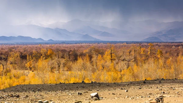 Paisagem Estepe Mongol Sopé — Fotografia de Stock