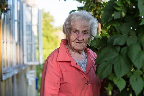 Köy Evinin Bahçesinde Yaşlı Kadın — Stok fotoğraf