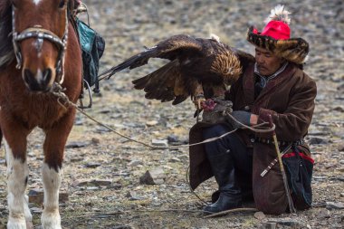Sagsay, Moğolistan - Eyl 30, 2017: Kazak avcı altın kartal - Berkutchi, Batı Moğolistan çöl eteklerinde ile tavşan için.