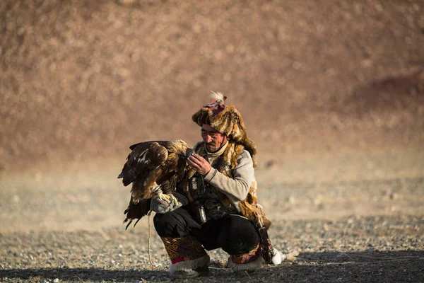 蒙古萨格 2017年9月28日 伯库奇 鹰猎人的传统服装 同时在西蒙古的沙漠山区 野兔抱着金鹰在他的怀里狩猎 — 图库照片