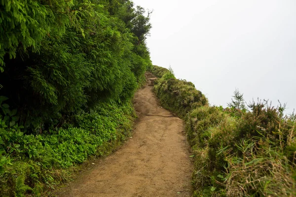 Chemin Montagne Dans Brouillard Paysage Île San Miguel Açores Portugal — Photo