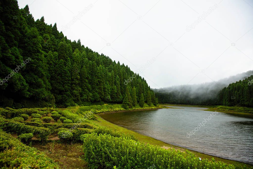 Lake with fog creeping through the water. Sao Miguel, Azores - Portugal