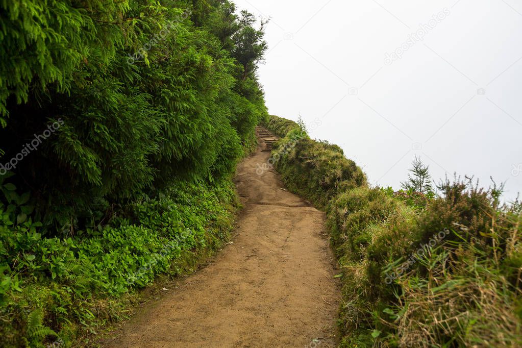 Mountain path in fog. Landscape of San Miguel island - Azores, Portugal.