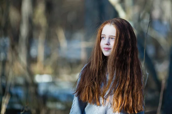 Süßes Teenie Mädchen Mit Feuerroten Haaren Posiert Kiefernpark Für Ein — Stockfoto