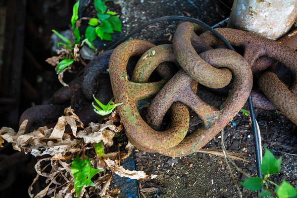 Keten Een Verlaten Gebouw Gestileerd Als Een Groot Schip Jungle — Stockfoto