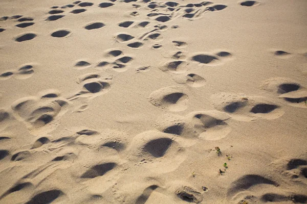 Texture Della Luce Spiaggia Mare Friabile Sabbia — Foto Stock