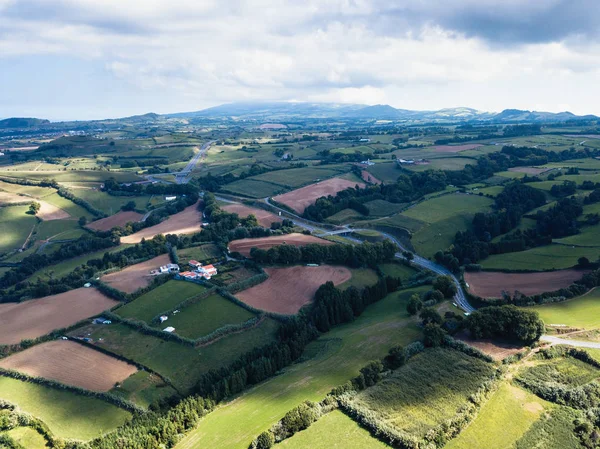 Maia Çay Plantasyon Havadan Görünümü San Miguel Adasında Azores Portekiz — Stok fotoğraf