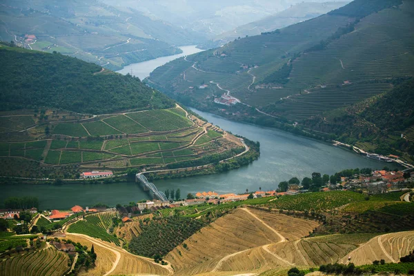 在杜罗河谷的河流弯曲和葡萄园在山上的全景 波尔图 葡萄牙 — 图库照片