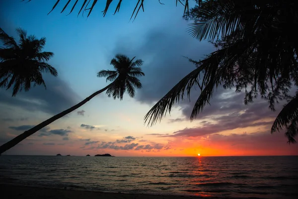 すばらしい夕日の中に熱帯の海のビーチでヤシの木 — ストック写真