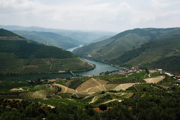 Vue Sur Vallée Douro Les Vignobles Dans Les Collines Porto — Photo