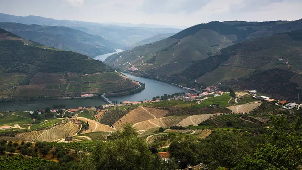 杜罗河谷全景 葡萄园在山上 波尔图 葡萄牙 — 图库照片