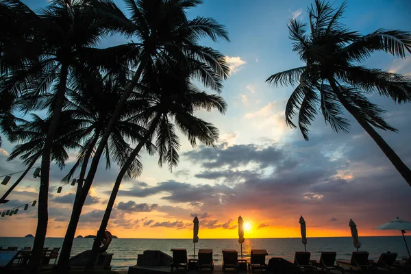 Palmiers Tropicaux Silhouettés Contre Ciel Bleu Crépuscule Sur Plage Mer — Photo