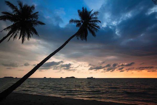 Palmeras Una Playa Mar Tropical Durante Increíble Atardecer — Foto de Stock