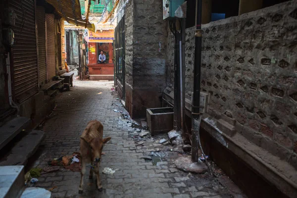 Varanasi Índia Mar 2018 Uma Das Ruas Cidade Velha Perto — Fotografia de Stock