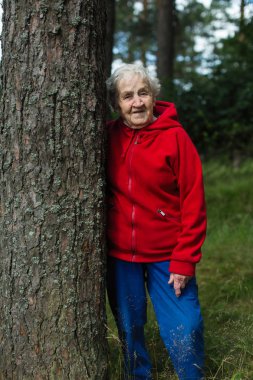 Kırmızı ceketli yaşlı bir kadın çam parkında yürüyor..