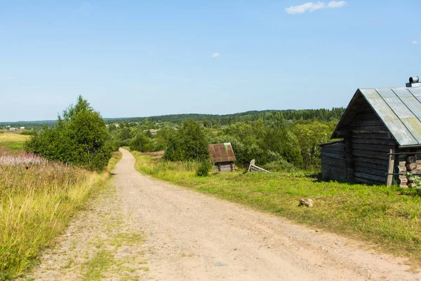 夏天俄罗斯偏远村庄的景色 — 图库照片