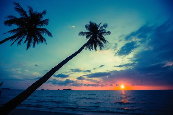 Силуэты Тропических Пальм Против Закатного Голубого Неба — стоковое фото