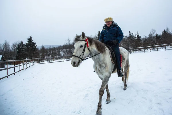 Podporozhye Russia Gen 2018 Formazione Dei Bambini Cavallo Nel Quadro — Foto Stock