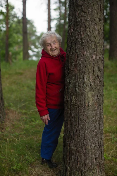 Äldre Kvinna Park Nära Tallskog — Stockfoto